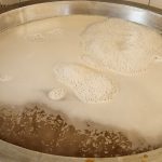 Brauen am 28.03.2026