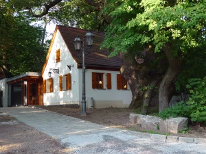 Historisch Umbau Petersbecks 18