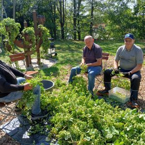 AdobePhotoshopExpress_55ea1ac8aeb0449f93d8c5d8b39a0304_Edited